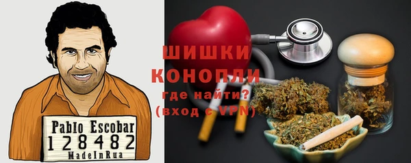 мдпв Белокуриха