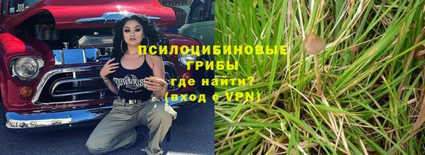 дурь Алзамай