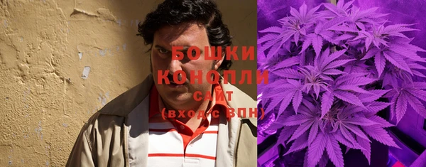 дурь Алзамай