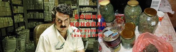 дурь Алзамай