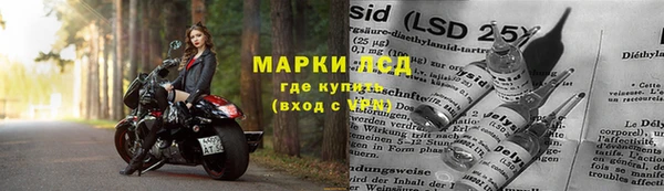 дурь Алзамай